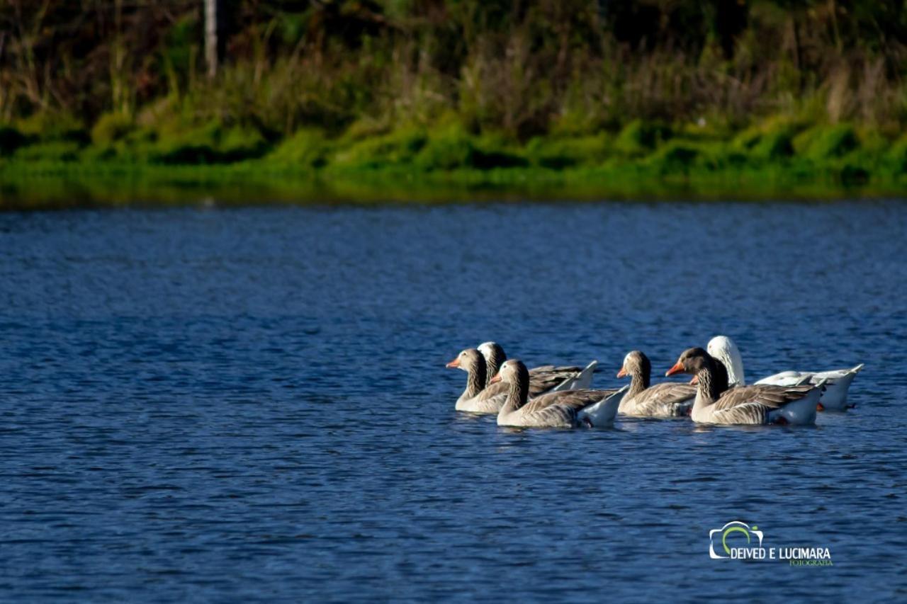 Refugio Do Lago Lages Exterior foto